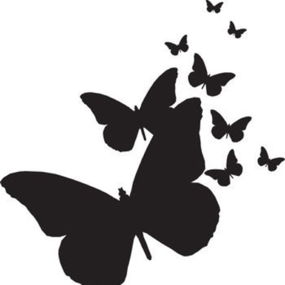 Meet your Posher Butterfly Noir